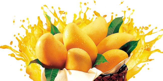 Fahad mango Farm
