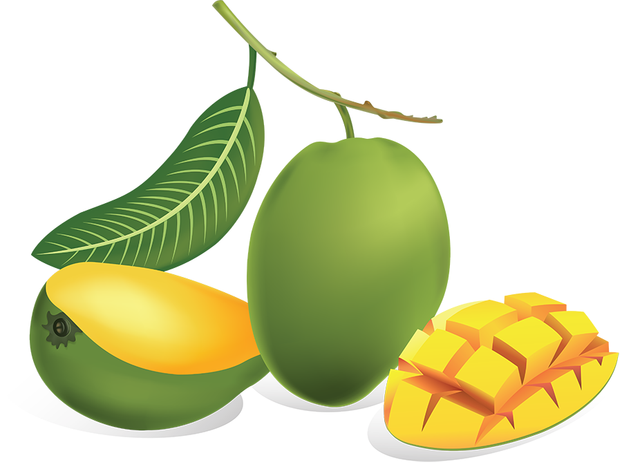 Fahad Mango farms